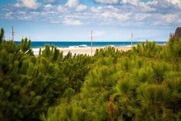 هتل Koru Beach Club