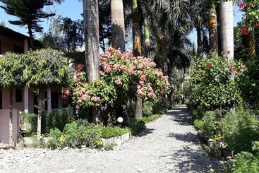 Sauraha Resort