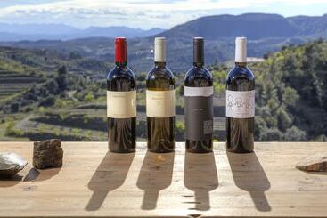 هتل Trossos Del Priorat