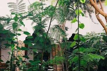 Riad Maryam Taroudant