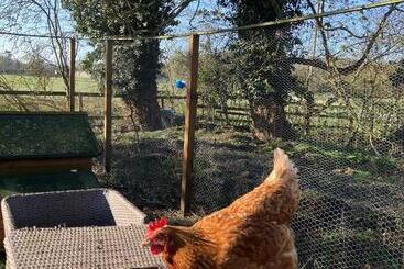 تختخواب و صبحانه Grange Farm