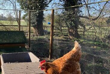 تختخواب و صبحانه Grange Farm