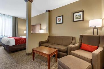 هتل Comfort Inn & Suites Near Mt. Rushmore