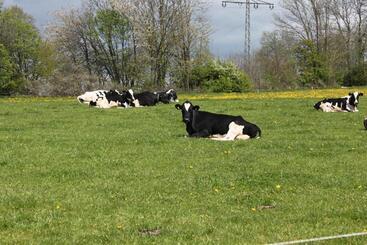 هتل Pension Zur Sonne 24/7