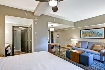 Hotel Homewood Suites By Hilton Boston Brooklinelongwood Medical