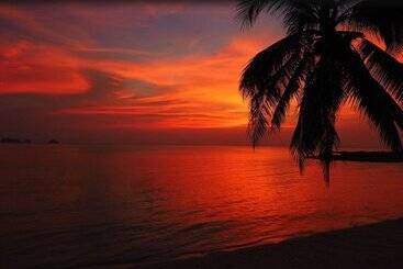 Sibaja Palms Sunset Beach Apartment