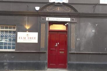 تختخواب و صبحانه Elm Tree Guest House