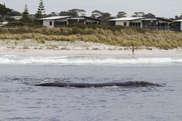 هتل Big4 Middleton Beach Holiday Park