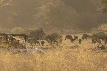 هتل Khulu Lodge