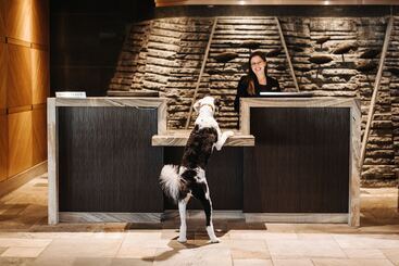 هتل Fairmont Vancouver Airport   Gold Experience