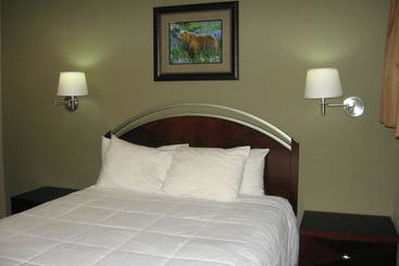 هتل Beachcomber Inn