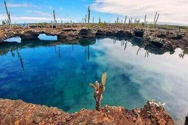 هتل Hospedaje Delfin Azul