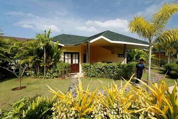 هتل Palm Garden Resort