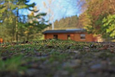 Saplinbrae Hotel And Lodges