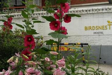 Birdsnest Hostel Hongdae Foreigner Only