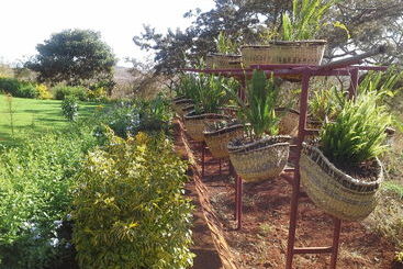 هتل Acacia Farm Lodge