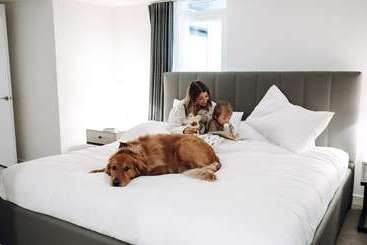 شقة فندقية Level Los Angeles   Downtown South Olive