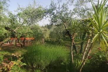 호텔 Agriturismo Crocino In Chianti