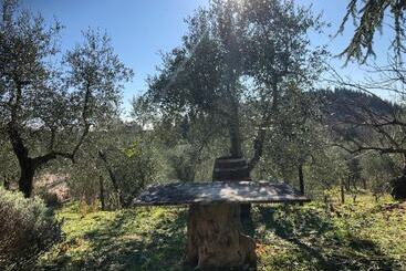 호텔 Agriturismo Crocino In Chianti