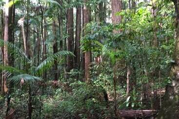 هتل Grange Resort Hervey Bay