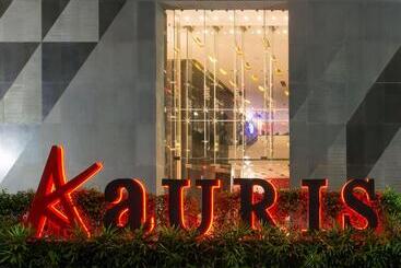 酒店 Aauris
