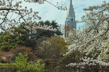酒店 Allamanda Aoyama Tokyo