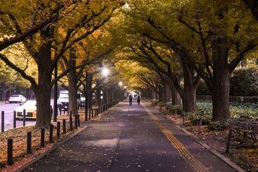בית מלון כפרי Allamanda Aoyama Tokyo