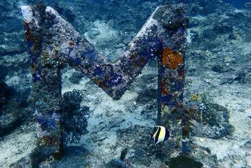 هتل Oceans 5 Dive Resort
