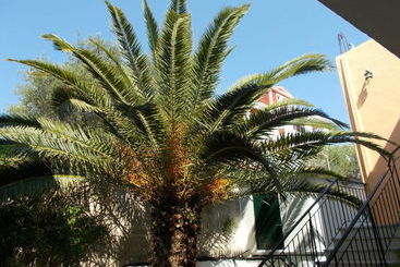 Kavos Fantasia Complex