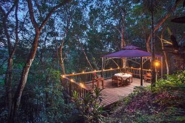 ホテル Table Rock Jungle Lodge