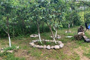 پانسیون Eco Family Guest House