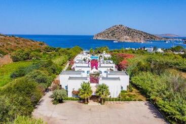 تختخواب و صبحانه Ladonia Hotels Zemda Gümüşlük