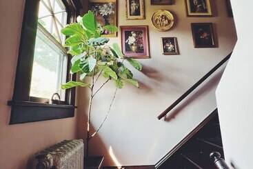 تختخواب و صبحانه Marianna Stoltz House