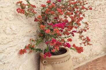 پانسیون Riad Bini Ddik