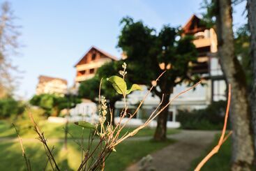 Parkhotel Beatenberg