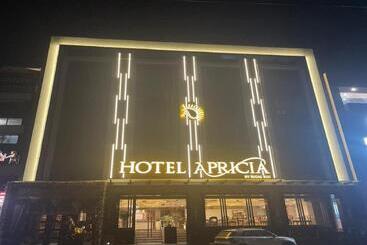 酒店 Apricia