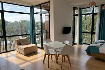 Aparthotel Majak Shekvetili