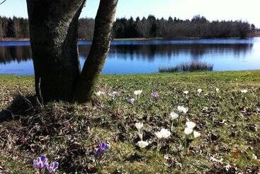 هتل Tollundgaard Golf Park