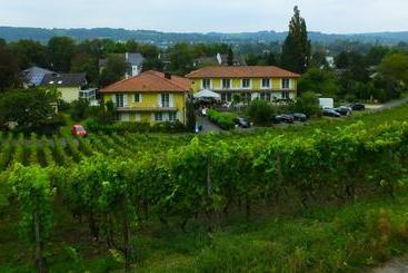 Weingut Und Hotel Haus Am Drachenloch