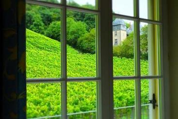 Weingut Und Hotel Haus Am Drachenloch