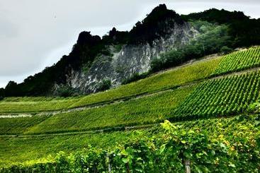 Weingut Und Hotel Haus Am Drachenloch