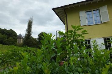 Weingut Und Hotel Haus Am Drachenloch