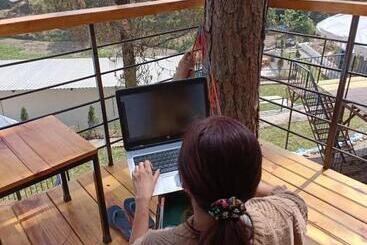 Paradise Pool Resort By Beyond Stay Nainital