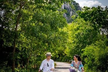 هتل The Soul Resort