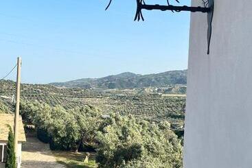 B&b Il Santo Re