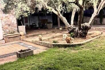 B&b Il Santo Re