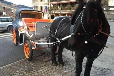 هتل M De Megève