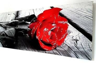 فندق B&b Vanessa House