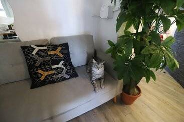 هتل Guest House Pirelli Milano