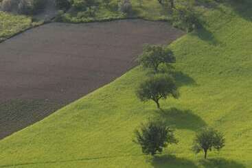 هتل Masseria Santa Lucia